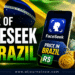 PRICE OF FACESEEK IN BRAZIL