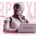 Perplexity AI review